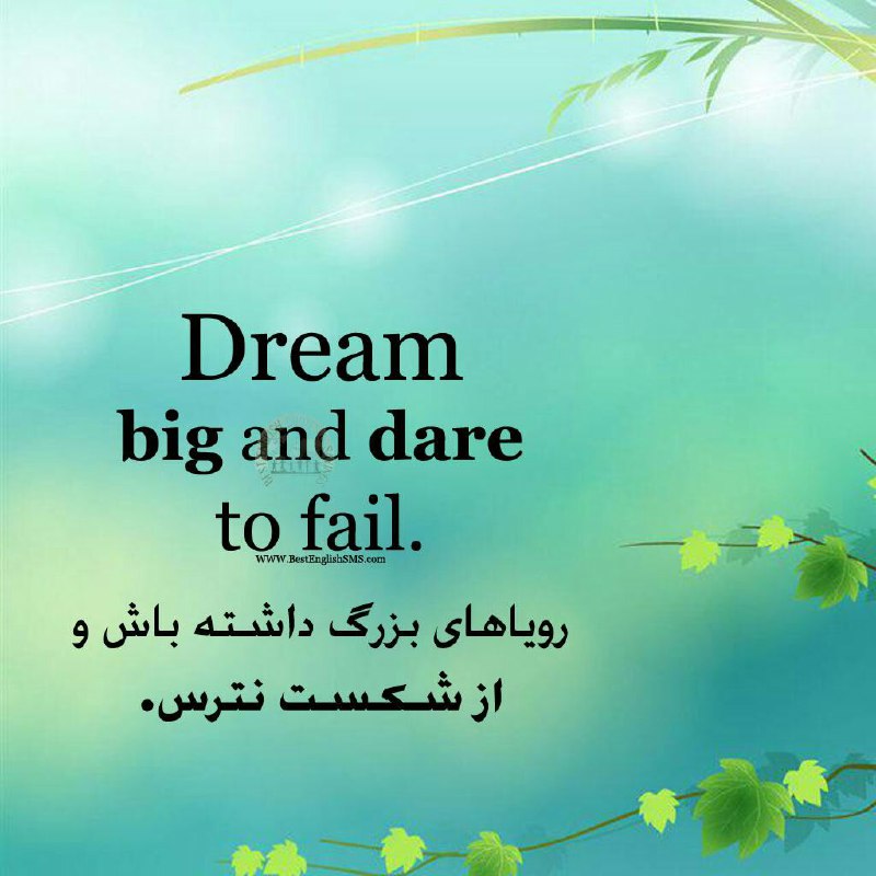 رویاهای بزرگ داشته باش و از شکست نترس …