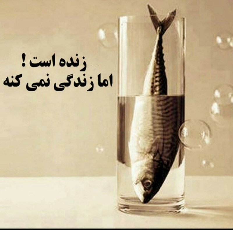 امنیت تنها به معنی عدم جنگ در کشور نیست؛ امنیت حقیقی یعنی تمام افراد جامعه بدون توجه به نژاد، دین، طبقه، جنسیت و پایگاه اجتماعی از