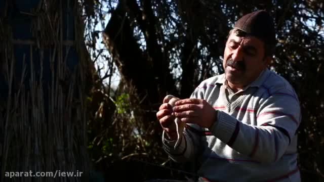 www. aparat. com/v/NYSt۳