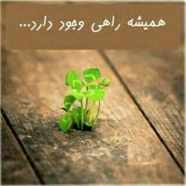 کانال روابط بین الملل وسیاست خارجی