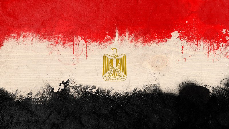 ✍🏻ترجمه مقاله.. «عوامل دهگانه عدم ورود مصر به باتلاق سوریه».. محمد صابراین