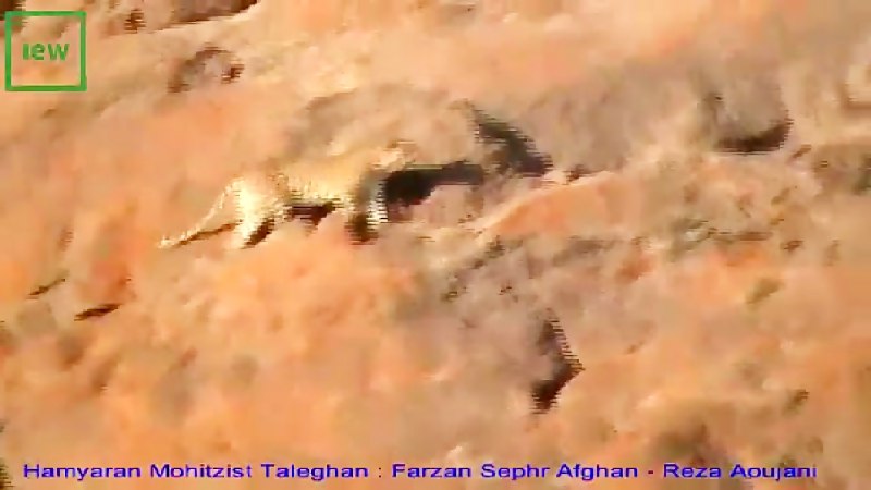 www. aparat. com/v/FWkU۶