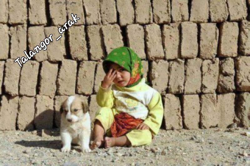 خانه ما دیوار ندارد، گاهی سر بزن.. 💥 نترس گرسنگی ما واگیر ندارد!