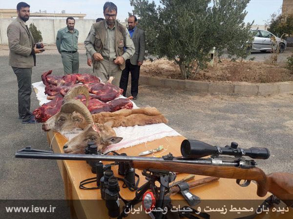 اسلحه گلوله زنی ۲۷۰، لاشه دو قوچ وحشی، دوربین چشمى، تبر، چاقو، پروژکتور و سایر ادوات کشف شده از شکارچیان متخلف در منطقه حفاظت شده 