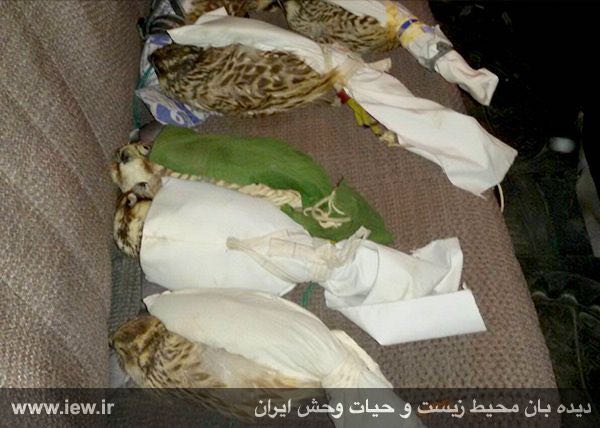 بالابان‌های کشف شده از خودروی قاچاقچیان در محور جاسک – بندر عباس