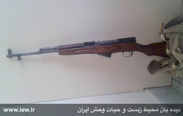 اسلحه جنگی کلاشینکف ده تیر (سیمینوف) کشف شده از شکارچیان متخلف در فیروزآباد فارس