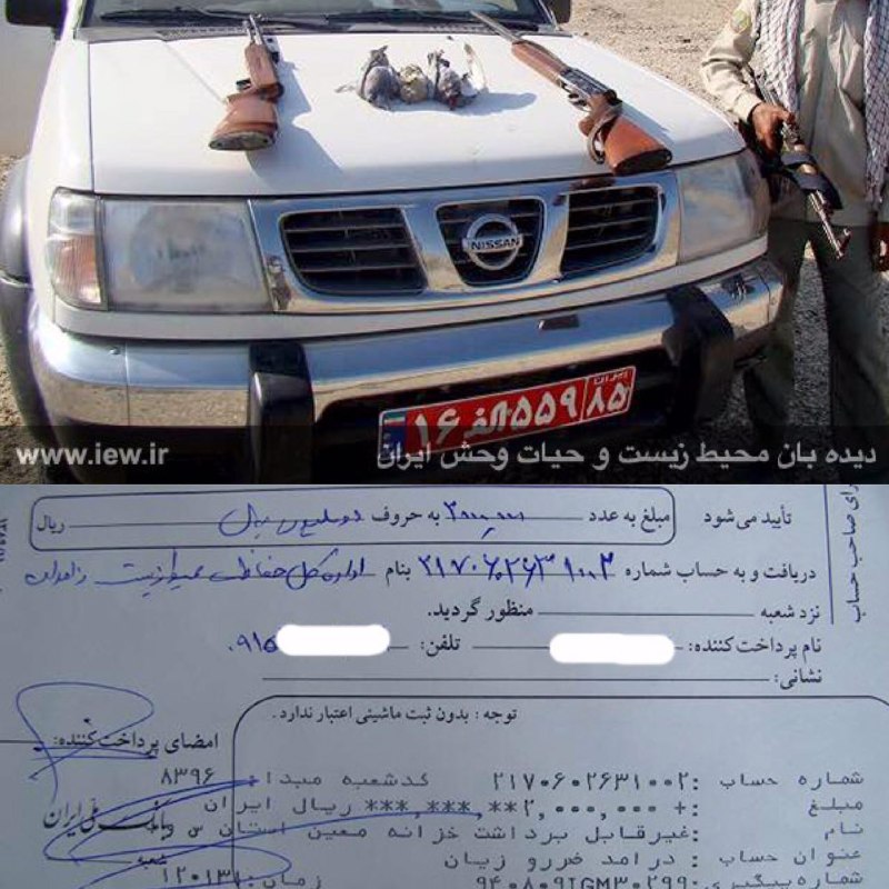 عاملین شکار یک تیهو و دو کبوتر وحشی پس از واریز جریمه نقدى به دادگاه معرفی شدند.. پایگاه خبرى
