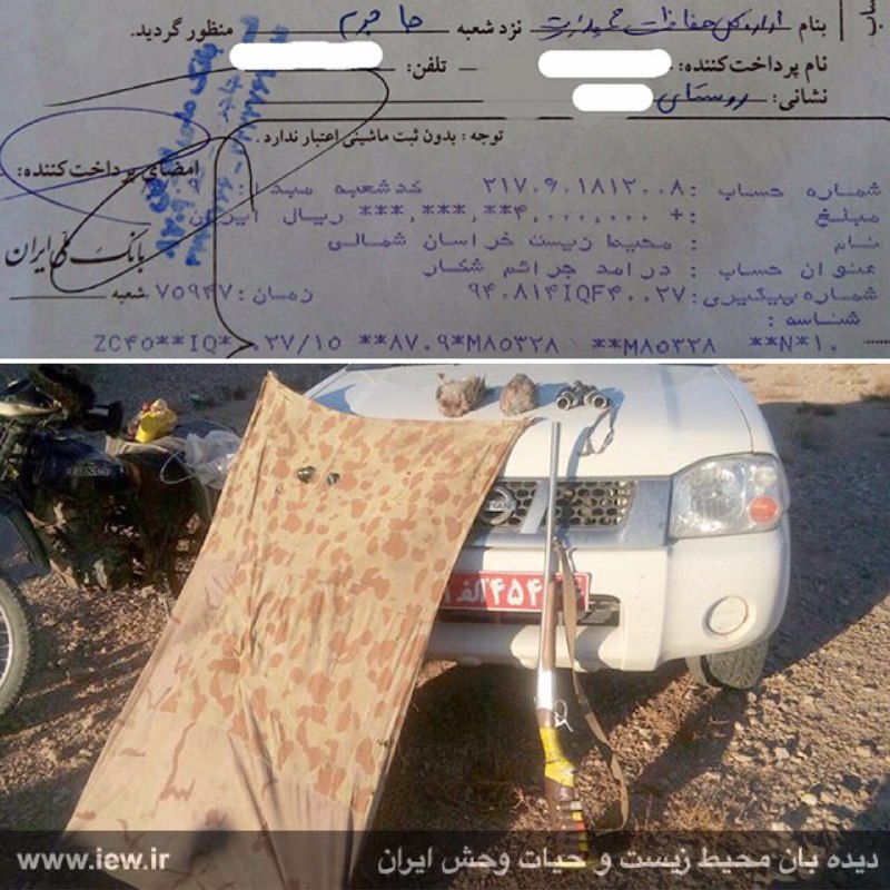 متخلف شکار دو کبک وحشی در جاجرم پس از واریز ۴میلیون ریال جریمه نقدى به دادگاه معرفی شد.. www