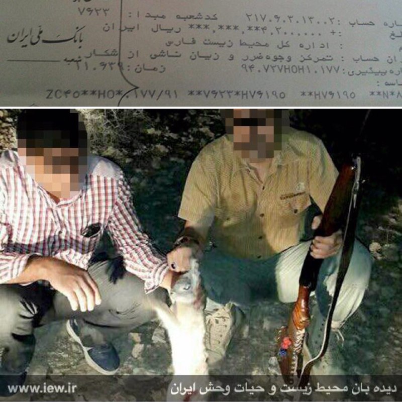 عکس یادگاری با لاشه شکار، شکارچی متخلف را در لارستان ناچار به واریز جریمه و روانه دادگاه کرد.. www
