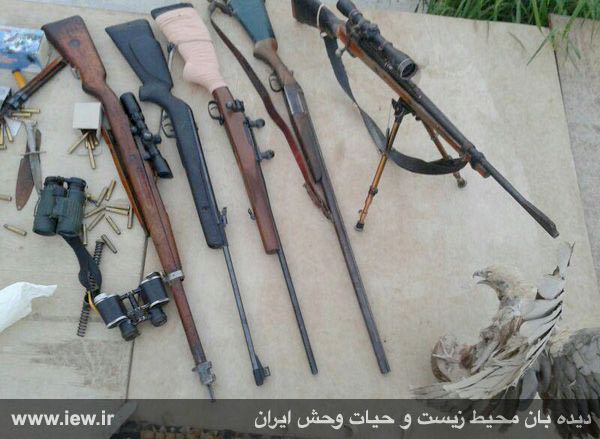 یک پرنده شکاری تاکسیدرمی شده و پنج قبضه سلاح از خانه یک متخلف در بندرلنگه کشف و ضبط شد.. www