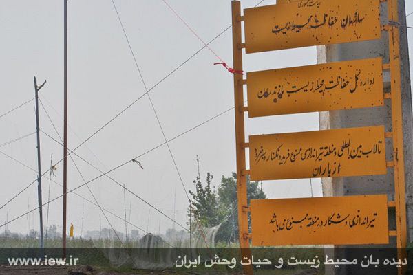 تالاب ازباران بهترین پوشیده از دام هاى هوایى بیشمار