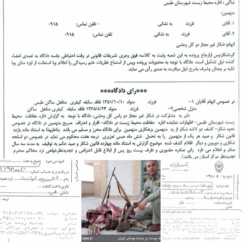متخلفین شکار ٢ کل وحشی در طبس به ٢٠٠میلیون ریال جریمه، یک سال حبس و توقیف اسلحه محکوم شدند.. www