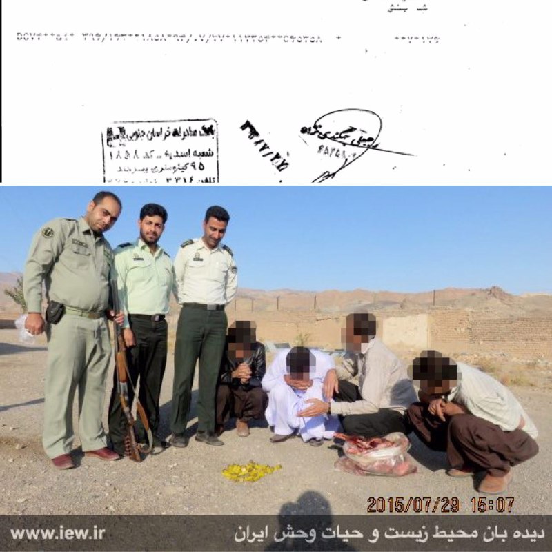 عاملین شکار یک قوچ وحشی در شهرستان درمیان پس از واریز یکصد میلیون ریال به دادگاه معرفی شدند.. www