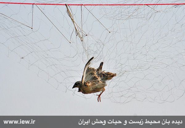 آبان ١٣٩٤