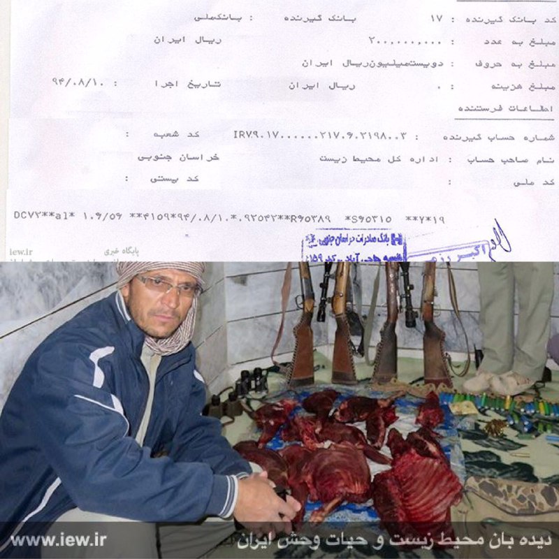 ۲۰۰میلیون ریال جریمه شکار غیرمجاز دو قوچ وحشی در زیرکوه از شکارچیان متخلف اخذ شد.. پایگاه خبری