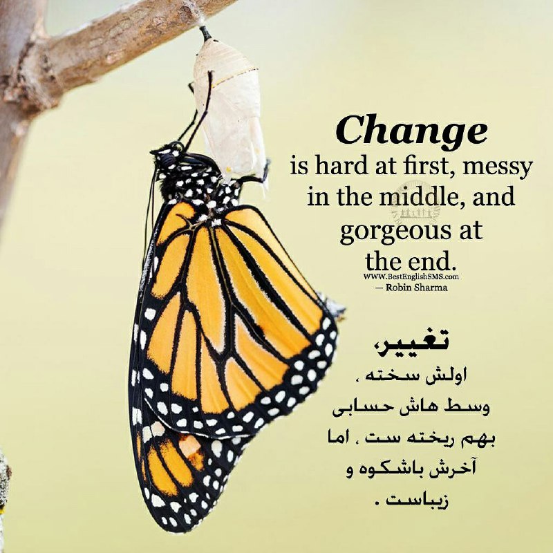 تغییر، اولش سخته، وسط هاش حسابى بهم ریخته ست، اما آخرش باشکوه و زیباست …👤 Robin Sharma