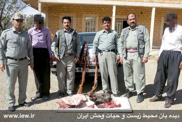 عاملین شکار غیرمجاز یک خوک وحشی در اشترانکوه لرستان بازداشت شدند.. پایگاه خبری