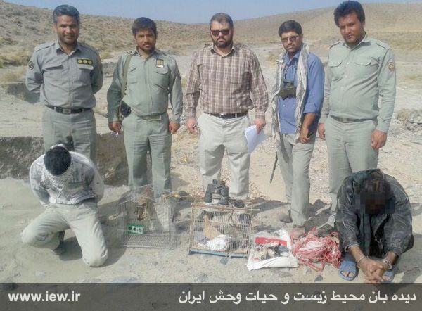 دو قاچاقچى پرندگان شکارى بهمراه ٣ دلیجه باتلاش محیطبانان خواف و زاوه دستگیر شدند.. www