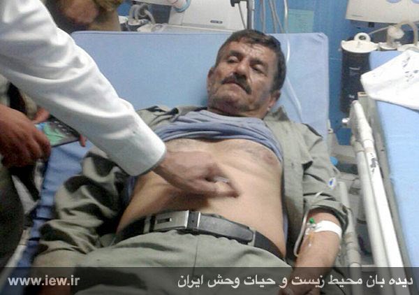 على یار حسنى محیطبان سبزکوه درجریان درگیری با شکارچیان هدف ساچمه هاى اسلحه شکاری قرار گرفت.. www