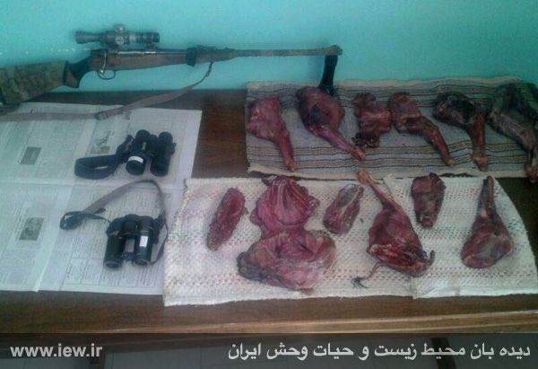 اسلحه گلوله زنی ۳۰۸، دو دوربین چشمی و اجزای بدن دو کل وحشی کشف شده از شکارچیان متخلف