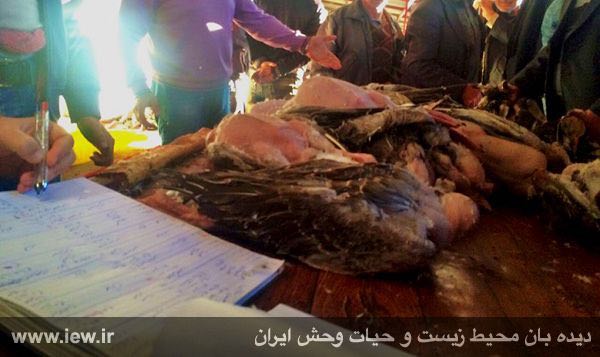 رییس و سماک بازار پرنده فریدونکنار در حال چوب زدن (قیمت گذاری) و حراج انفال و میراث طبیعى کشور / ١۴ آبان ٩۴