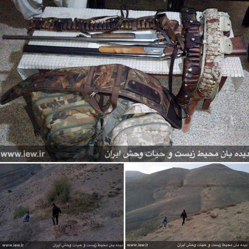 چهار شکارچی متخلف در ارتفاعات بانه در کردستان پیش از اقدام به شکار دستگیر شدند.. پایگاه خبری