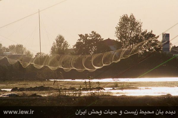 محمودآباد / آبان ١٣٩٤