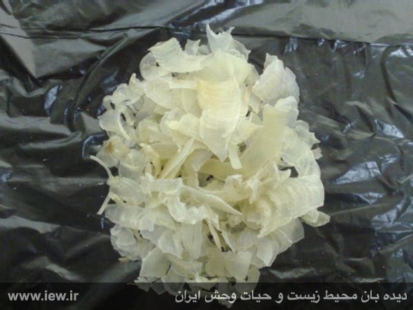 محموله قاچاق حاوى ۳۳۰ کیلوگرم کتیرا به ارزش ۱۳۲ میلیون ریال در شاهرود توقیف شد.. پایگاه خبری
