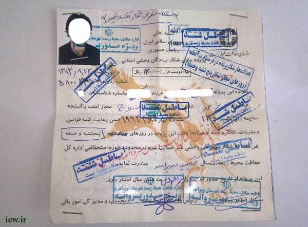 عامل شکار یک کل وحشی در یاسوج دستگیر و ضمن ابطال پروانه عادی شکار پرنده به دادگاه معرفی شد …دیده بان محیط زیست و حیات وحش ایران