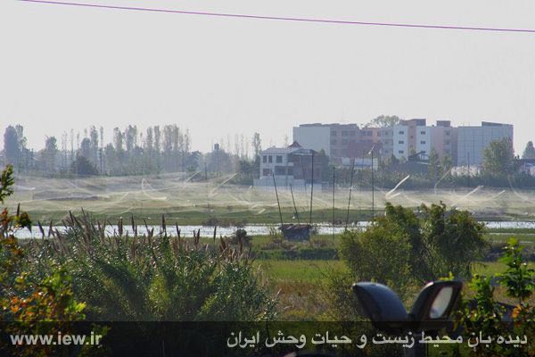 بابلسر / آبان ١٣٩٤