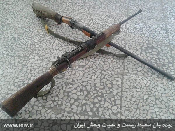 یک اسلحه گلوله زنی برنو و یک اسلحه شکاری تک لول که توسط متخلفین به اداره محیط زیست تحویل داده شد