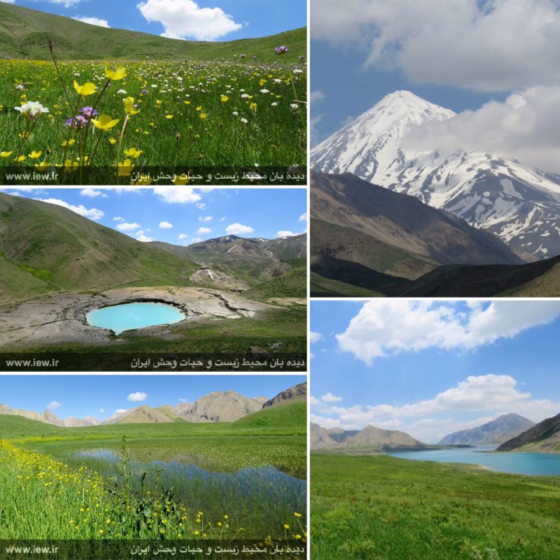 گزارش تصویری – تشریحی بازدید از پارک ملی لار.. مشاهده تصاویر و جزئیات در. دیده بان محیط زیست