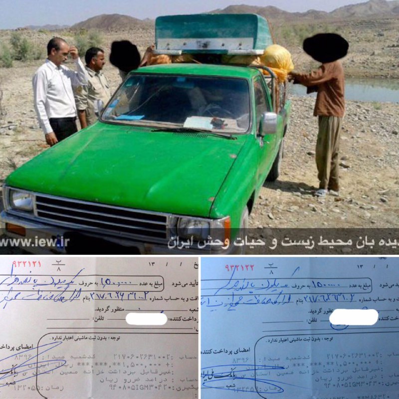 عامل صید غیرمجاز ٦٠ ماهى در نیکشهر پس از واریز ٣میلیون ریال جریمه نقدی به دادگاه معرفی گردید.. www