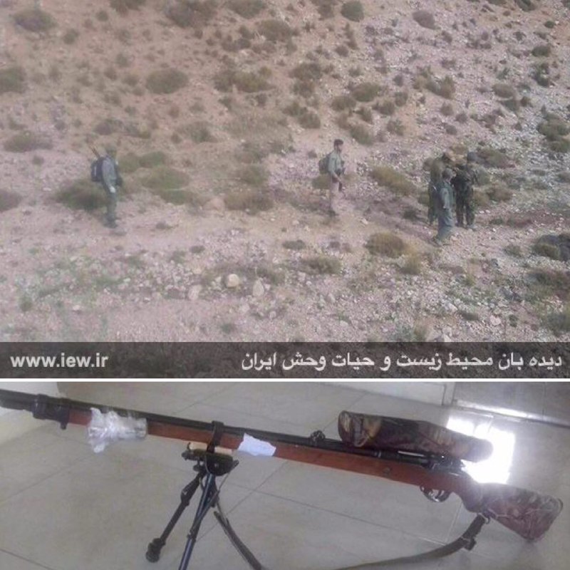 یک شکارچی متخلف در ارتفاعات فیروزکوه پیش از اقدام به شکار دستگیر شد.. پایگاه خبری