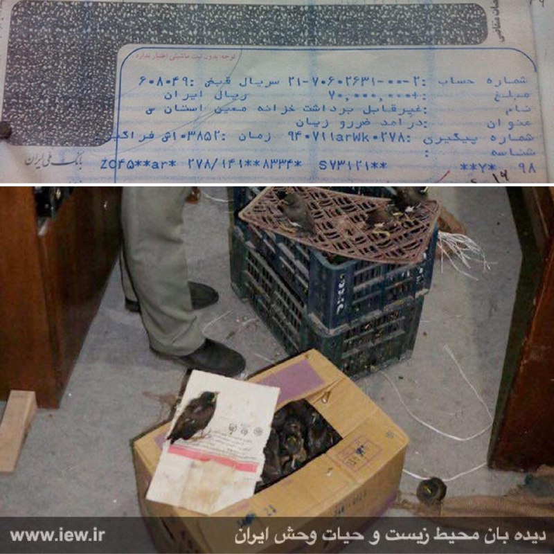 قاچاقچی ۳۵ مینا در زاهدان دستگیر و پس از واریز ۷۰میلیون ریال جریمه به دادگاه معرفی شد.. www