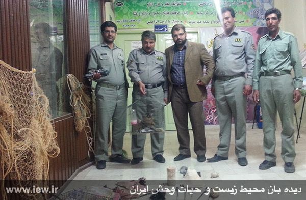 متخلفین صید پرندگان شکاری بهمراه ۲ دلیجه و یک پیغو در تربت حیدریه دستگیر شدند.. پایگاه خبرى