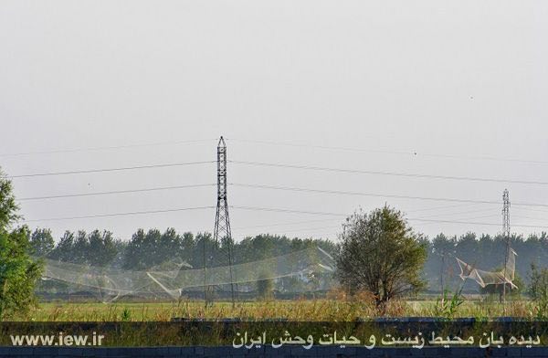 شهرستان نور / آبان ١٣٩٤