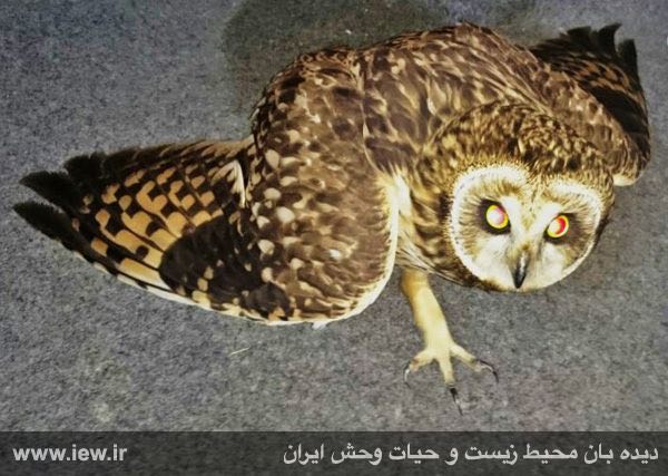 آبان ١٣٩٤