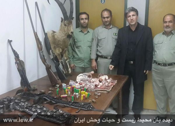 اجزاى بدن سه کل وحشی بهمراه دو سلاح شکارى و یک اسلحه جنگى در شهرستان سنقر کرمانشاه کشف شد.. www