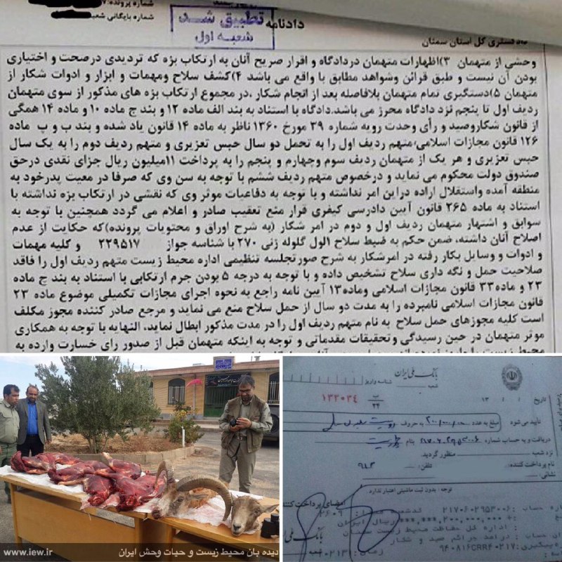 عاملین شکار دو قوچ وحشی در خارتوران سمنان به سه سال حبس، ٢٣٣ میلیون ریال جزای نقدی و مصادره اسلحه محکوم شدند