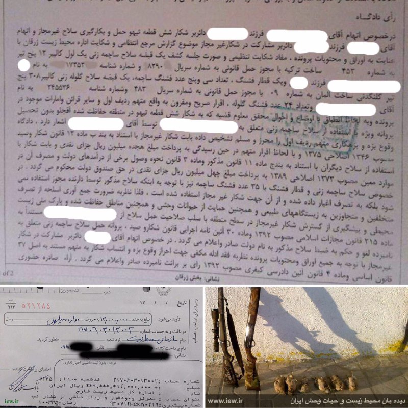 عامل شکار ٦ تیهو در حاشیه پارک ملی بمو به ۷۰میلیون ریال جزای نقدی، لغو جواز و مصادره اسلحه شکاری محکوم شد …دیده بان محیط زیست