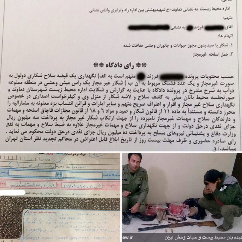 عامل شکار یک میش وحشی در دماوند پس از واریز یکصد میلیون ریال ضرر وزیان، به جزای نقدی و مصادره اسلحه محکوم شد