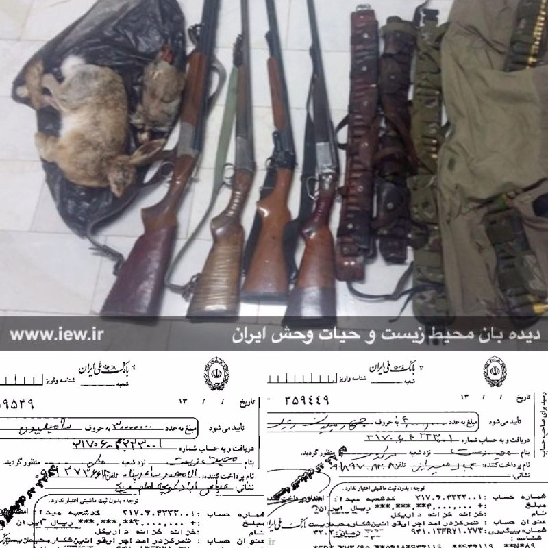 عاملین شکار یک خرگوش و ۲ کبک در کامیاران پس از واریز ٧میلیون ریال جریمه به دادگاه معرفی شدند …دیدبان محیط زیست و حیات وحش ایران