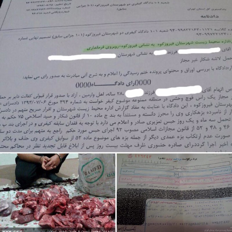 شکارچی متخلف در فیروزکوه علاوه بر واریز ده میلیون تومان جریمه نقدی به ۹۱ روز حبس محکوم شد …دیده بان محیط زیست و حیات وحش ایران