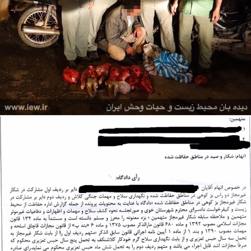 عاملین شکار دو بز وحشی در منطقه حفاظت شده مراکان به تحمل ۸/۵ سال حبس محکوم شدند.. پایگاه خبری