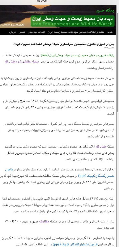 www. iew. ir