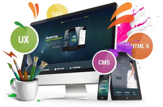 طبق یک بررسی در سال ۲۰۱۷ در آلمان، طراحان وب و CMS نظیر Wordpress, Joomla, … که به زبان آلمانی و یا انگلیسی تسلط داشته‌اند کمترین 