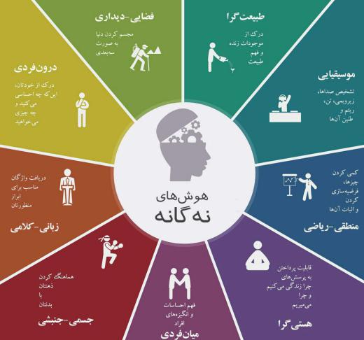 گاردنر نظریه‌اش را نخستین بار در کتاب «قاب‌های ذهنی: نظریه هوش چندگانه»، در سال ۱۹۸۳ ارائه کرد