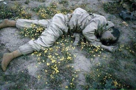سرباز وطن میان گلها 🍂🍂🍂. یک روز مانده به نوروز.. ۱۹ مارس ۱۹۸۵ / ۲۹ اسفند ۱۳۶۳