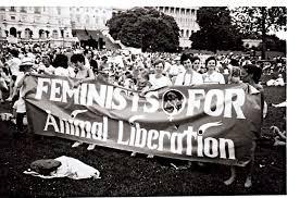 اکوفمینیسم یک جریان فکری- اجتماعی، یک جنبش سیاسی و سپس یک شاخه آکادمیک از فمینیسم بود که از ۱۹۷۰ در غرب مطرح شده و پا گرفت